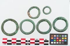 Foto von Bronzering (NHMW-PRAE-024858)